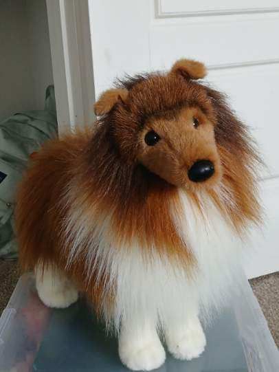 Dixie, our Douglas Sheltie plush